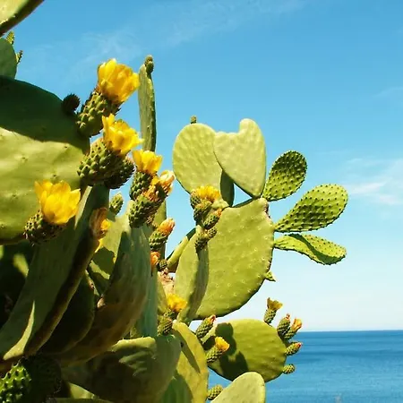 Mirto & Lavanda Sea View *